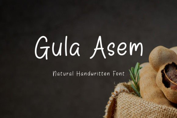 Transform Your Brand with Gula Asem Handwritten Font